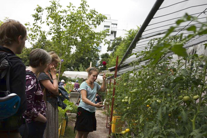 Общественный сад Берлина Prachttomate. 10 августа 2013 года. Фото: Carsten Koall/Getty Images Общественный сад Берлина Prachttomate. 10 августа 2013 года. Фото: Carsten Koall/Getty Images