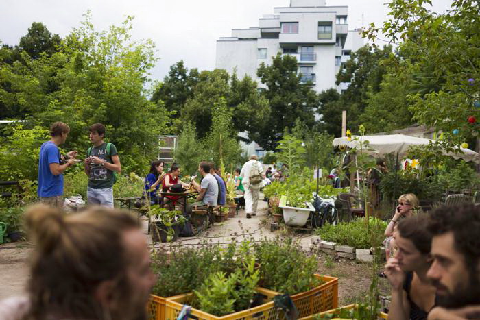 Общественный сад Берлина Prachttomate. 10 августа 2013 года. Фото: Carsten Koall/Getty Images Общественный сад Берлина Prachttomate. 10 августа 2013 года. Фото: Carsten Koall/Getty Images