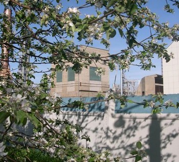 Завод ЗАО «СИБУР-химпром». Фото с официального сайта предприятия