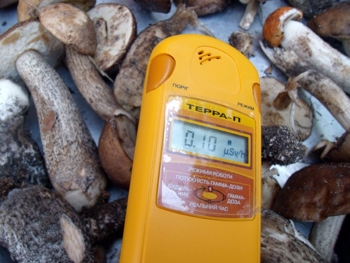 Фото:  torange.ru    