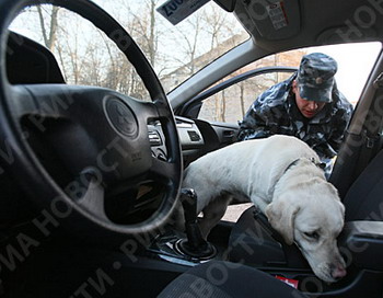 Заминированный автомобиль был обнаружен в Ставрополе. Фото с сайта auto.utro.ru