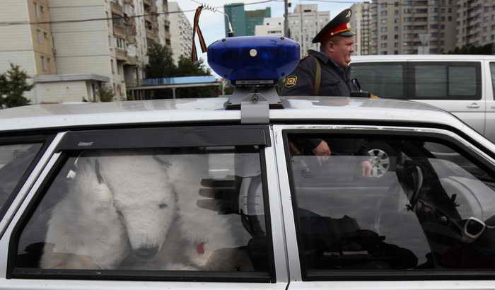 Фото: DENIS SINYAKOV/AFP/Getty Images Фото: DENIS SINYAKOV/AFP/Getty Images