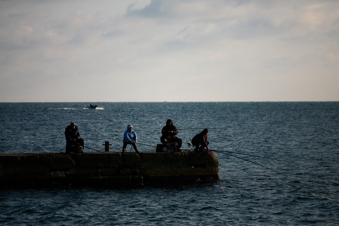 Фото: Harry Engels/Getty Images