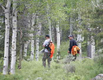  Детей, заблудившихся в тайге под Иркутском 12 июня, ещё до наступления темноты нашли охотники. Фото: George Frey/Getty Images