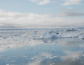 Льды в Беринговом Море. Фото: Slim ALLAGUI/AFP/Getty Images Льды в Беринговом Море. Фото: Slim ALLAGUI/AFP/Getty Images
