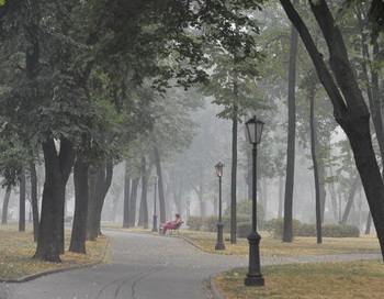 В Москве температура воздуха к выходным поднимется до 30 градусов. Фото: NATALIA KOLESNIKOVA/AFP/Getty Images