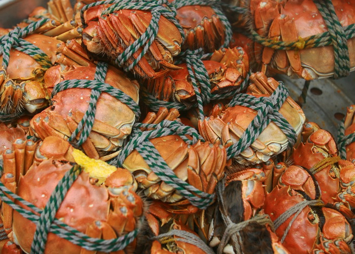 В Приморье изъята крупная партия нелегально добытого краба. Фото: China Photos/Getty Images