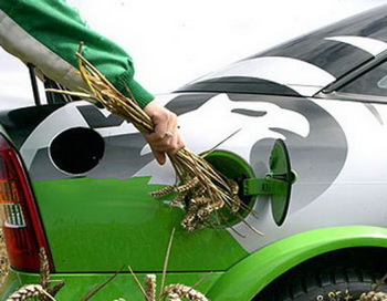 Фото: wunderground.com Фото: wunderground.com