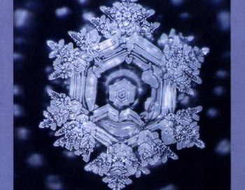 Исследование кристаллов воды доказывает эффект добрых мыслей. Фото с сайта deviantart.com Исследование кристаллов воды доказывает эффект добрых мыслей. Фото с сайта deviantart.com