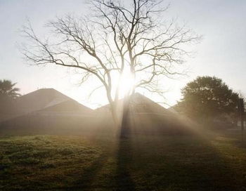 Утренний свет помогает регулировке ритма бодрствования и сна у подростков. Фото с сайта epochtimes.de Утренний свет помогает регулировке ритма бодрствования и сна у подростков. Фото с сайта epochtimes.de