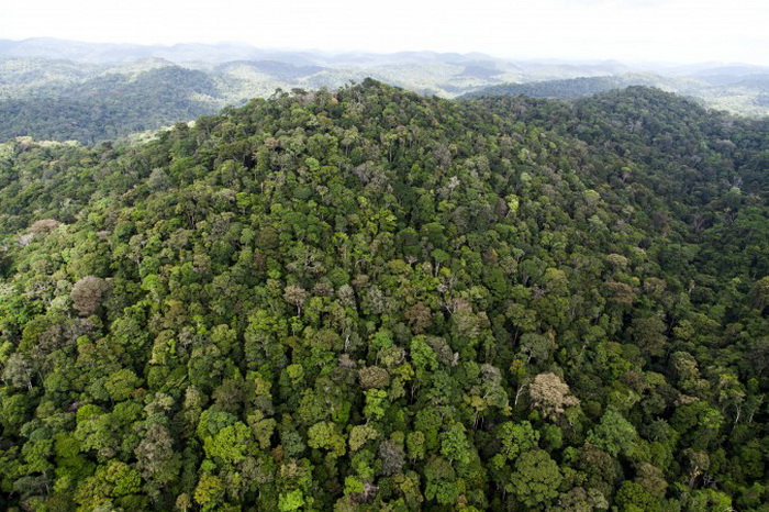 Фото: JODY AMIET/AFP/Getty Images