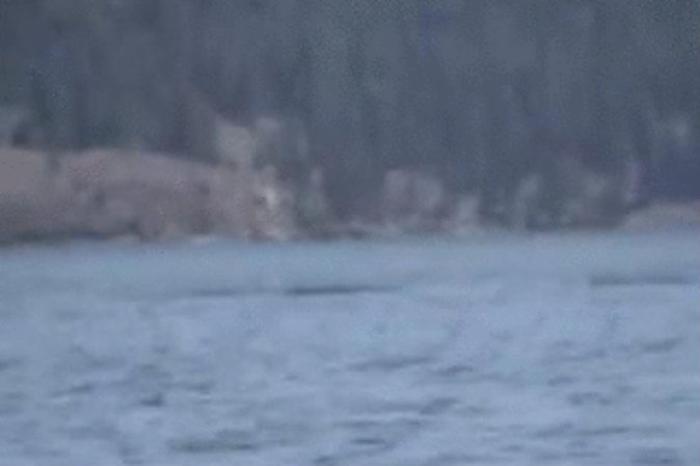 Видео с предполагаемым огопого в Келоуне, Британская Колумбия, Канада. Тёмные пятна — это длинный хвост существа. Но некоторые считают, что это было всего лишь переменчивое течение. Фото: Screenshot/YouTube