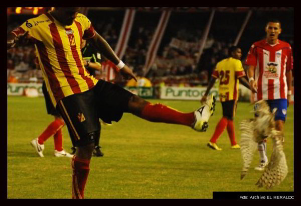 Футболист пнул сову на поле во время матча,  которая вскоре умерла. Фото с сайта elheraldo.co