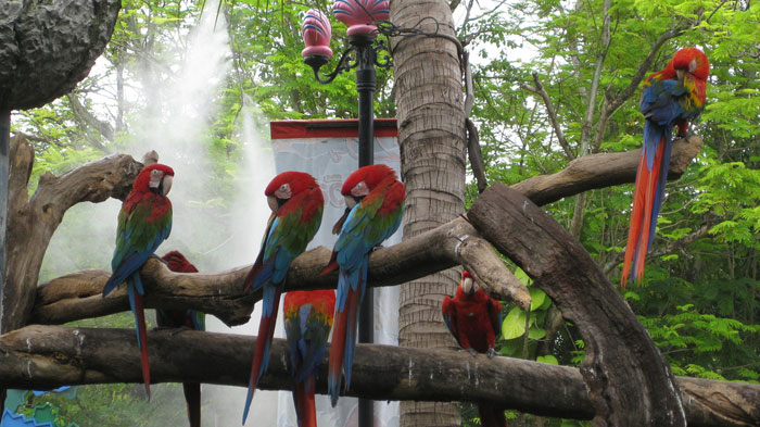 Достопримечательности Бангкока