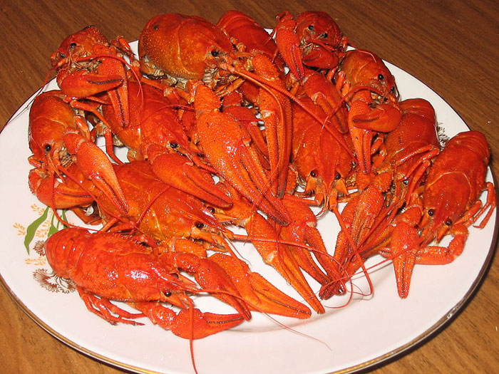 Варёные раки. Фото: Игоревич/commons.wikimedia.org