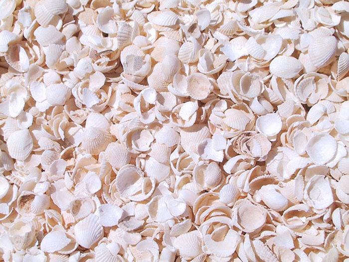 Шелл Бич, остров Сент-Бартс, Австралия. Фото: Lpm43792/commons.wikimedia.org