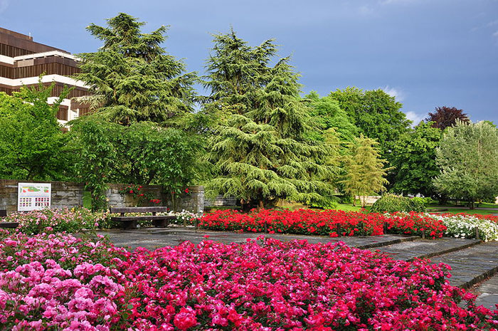 Швейцария. Фото: Roland zh/commons.wikimedia.org