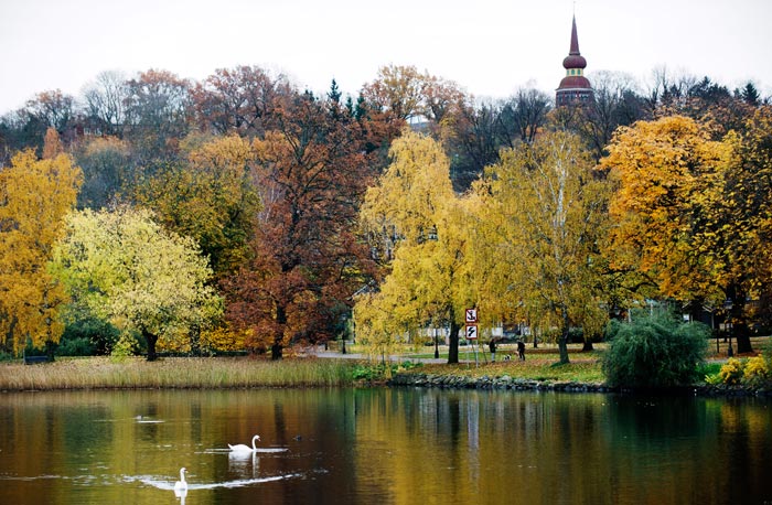 Национальный парк Юргорден. Фото: JONATHAN NACKSTRAND/AFP/Getty Images
