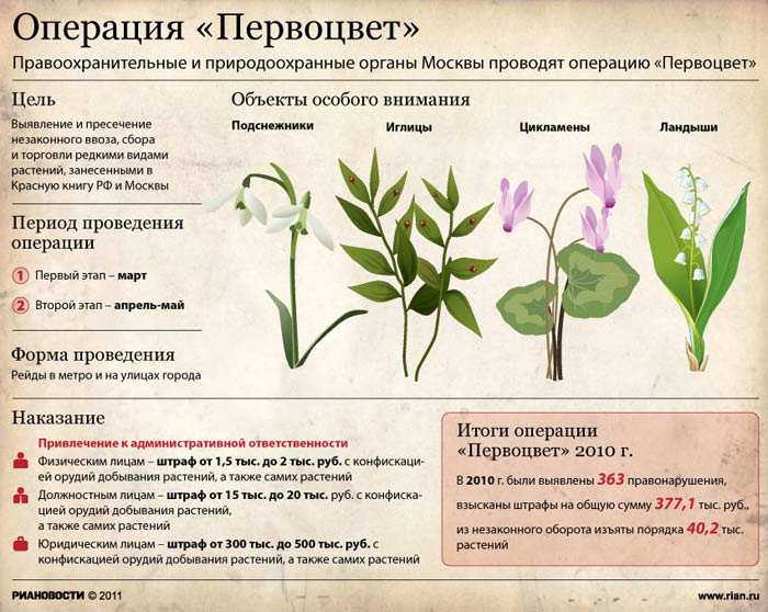 Первый этап операции "Первоцвет" стартует 5 марта в Москве