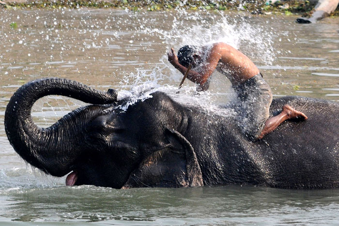 Экстремальный туризм – отдых для авантюристов. Фото: BIJU BORO/AFP/Getty Images