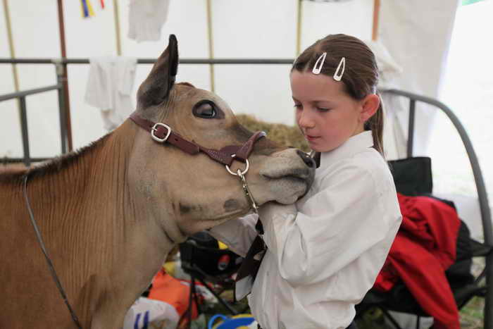 Итальянские дети за развлечениями отправляются на фермы. Фото: Dan Kitwood/Getty Images