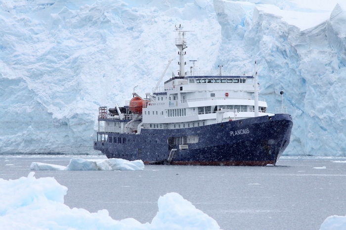 Фото: PIETER VAN DER LUIT/AFP/Getty Images Фото: PIETER VAN DER LUIT/AFP/Getty Images