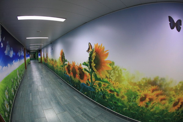 Португальцы возвращаются к своим корням. Фото: Matthew Lewis/Getty Images Португальцы возвращаются к своим корням. Фото: Matthew Lewis/Getty Images