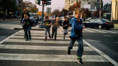 (Видео) Бездомная собака помогает детям перейти через дорогу. Она прекрасно знает ПДД!