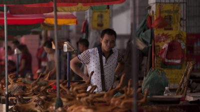 Собачье мясо в продаже на рынке в Юйлине, в провинции Гуанси на юге Китая, 17 июня 2015 г. (STR / AFP / Getty Images)