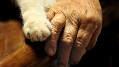 Коту в Челябинске пришлось укусить за шею свою 79-летнюю хозяйку. И она ему за это бесконечно благодарна!