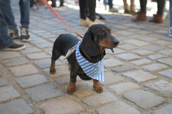 Muenocchio/pixabay.com/Pixabay License | Epoch Times Россия