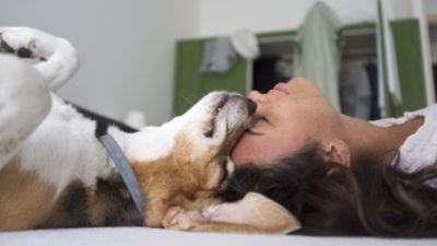 Пёс прибежал спасать хозяйку от астмы, но слегка ошибся. Зато теперь он звезда интернета