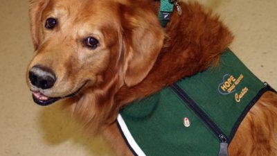 Robert Kaufmann/commons.wikimedia.org/public domain