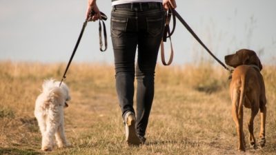 Freepics4you/pixabay.com/Pixabay License