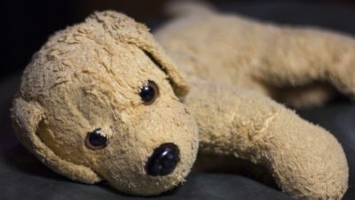 2-летняя девочка забыла в отеле плюшевого пёсика. Она скучала, а он совсем нет!