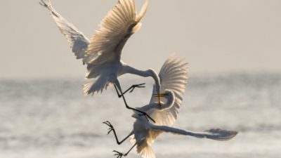 Chris Sabor/unsplash.com/СС0