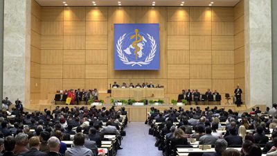 Всемирная ассамблея здравоохранения в Женеве во время открытия 57-й ежегодной сессии, Швейцарии, 17 мая 2004 года. JEAN-PIERRE CLATOT/AFP via Getty Images