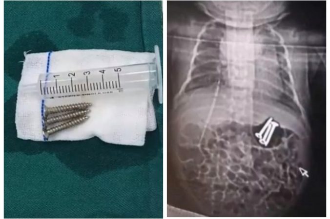 Фото: коллаж epochtimes.ru