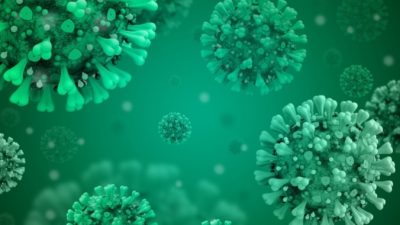 MintBlack4u/pixabay.com/Pixabay License