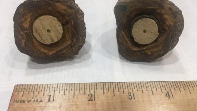 Неуместный артефакт: свеча зажигания возрастом 500 тыс. лет