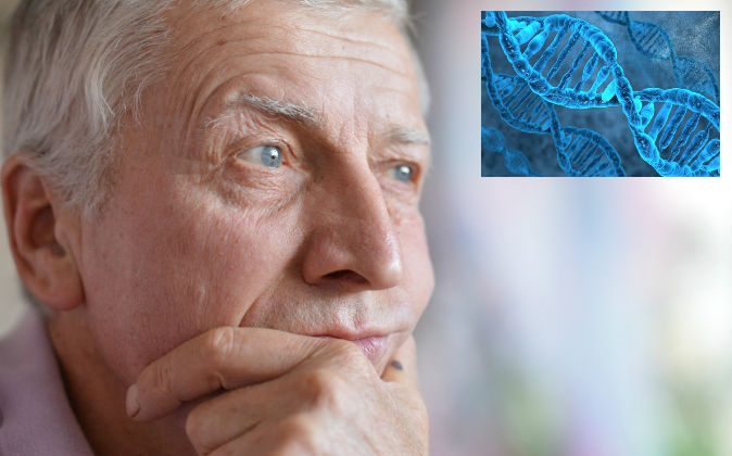 
По словам доктора Брюса Липтона, ДНК не определяет ваше здоровье (например, генетические заболевания) или другие атрибуты, а ваше восприятие определяет. По его словам, это действительно вопрос оптимизма против пессимизма. (Shutterstock *)