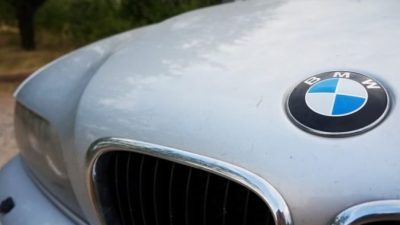 Фото: alohafamily1/pixabay.com/CC0 Public Domain