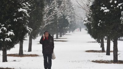 Мы тратим около 5 лет жизни на беспокойства