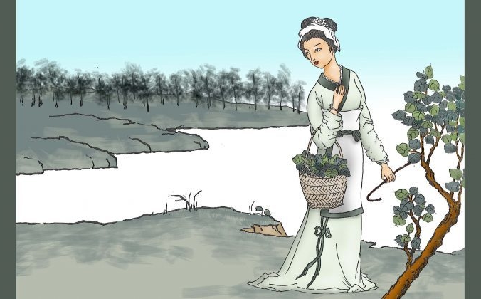 Девушка собирает листья шелковицы. Иллюстрация Сунь Минго / The Epoch Times