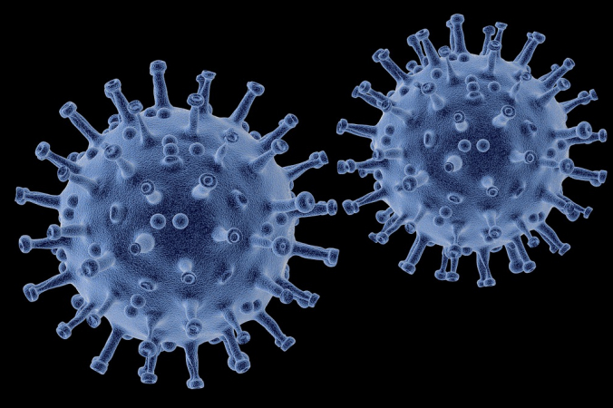 Больницы не защищены от норовируса PIRO4D/pixabay.com/Pixabay License