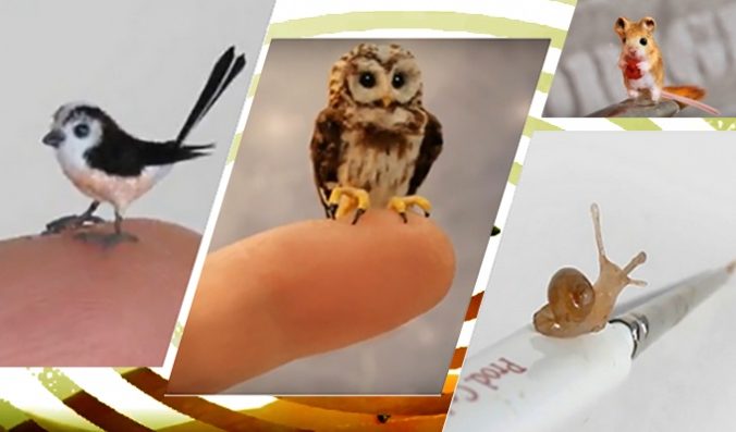 Фото: колаж epochtimes.ru/Yellow Duck/youtube.com | Epoch Times Россия