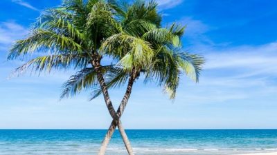 Вьетнам для туристов