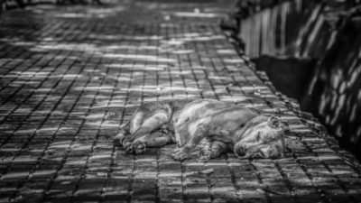 Patrick Hendry/unsplash.com/СС0