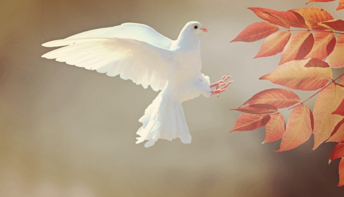 cocoparisienne/pixabay.com/Pixabay License | Epoch Times Россия