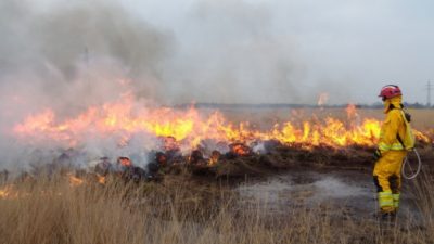 (Видео) Огонь сжёг всю округу, но не тронул участок с памятником погибшей девочке